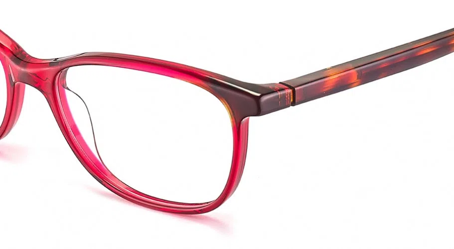 Etnia Barcelona DAUPHINE 22 .P Eyeglasses - view 16